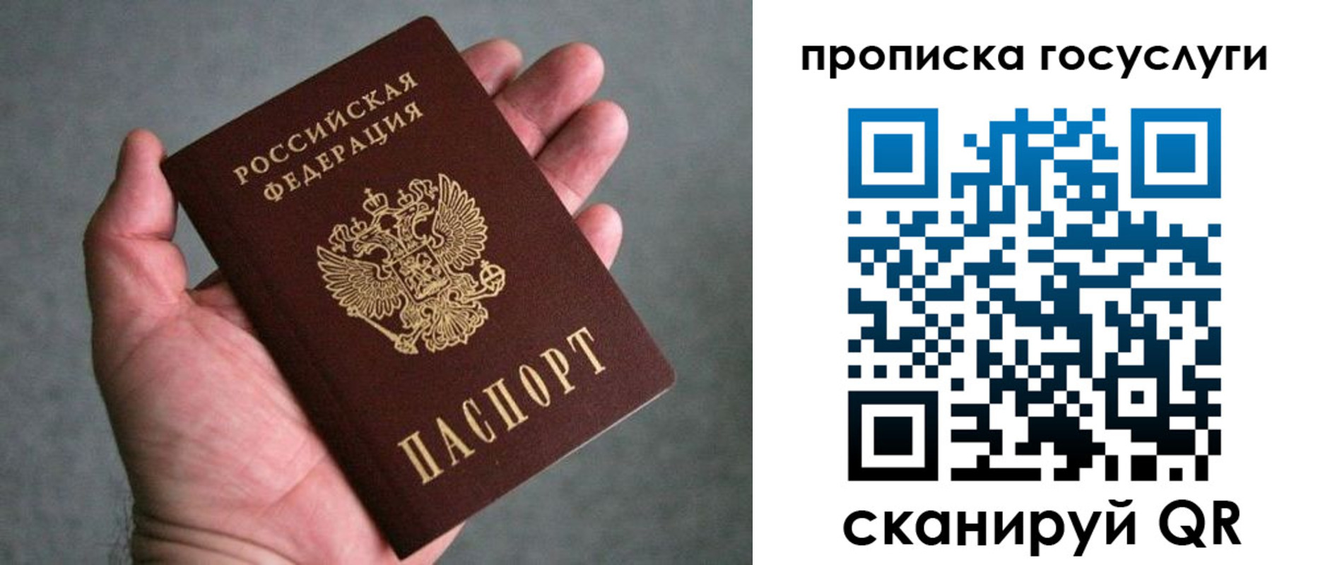 прописка 2025 в Звенигово